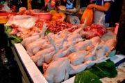 Harga ayam: PN tak faham permintaan dan penawaran