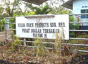 felda cow cattle rearing centre palong 120206 signage