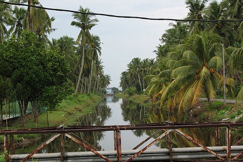 Pelihara identiti 'daerah kelapa' Bagan Datuk - Amanah