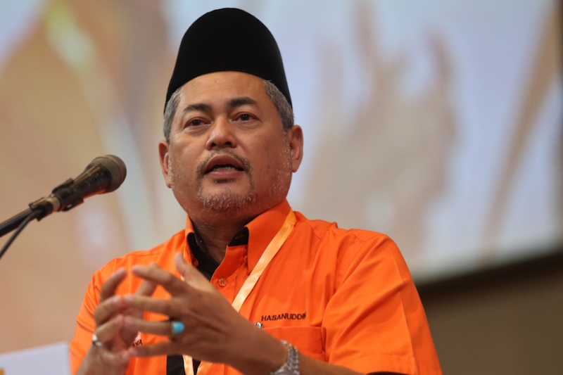 'Kerajaan Johor stabil di bawah naungan Sultan Ibrahim' - Hasanuddin